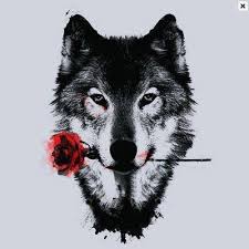 wolf